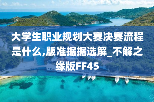 大学生职业规划大赛决赛流程是什么,版准据据选解_不解之缘版FF45