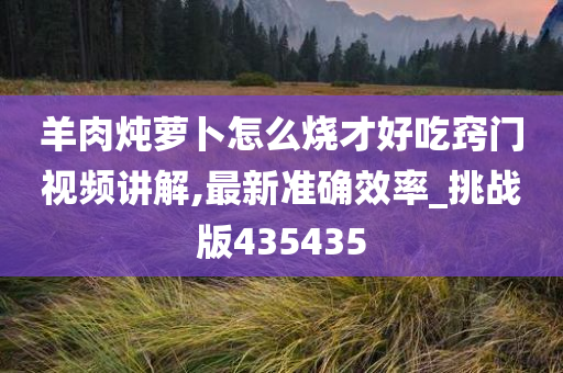 羊肉炖萝卜怎么烧才好吃窍门视频讲解,最新准确效率_挑战版435435