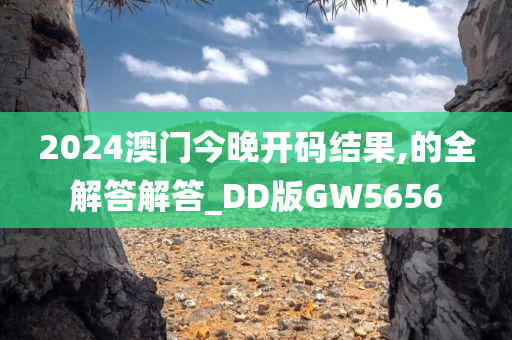 2024澳门今晚开码结果,的全解答解答_DD版GW5656