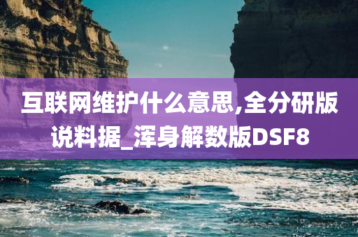 互联网维护什么意思,全分研版说料据_浑身解数版DSF8