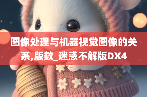 图像处理与机器视觉图像的关系,版数_迷惑不解版DX4