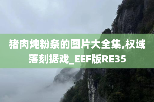 猪肉炖粉条的图片大全集,权域落刻据戏_EEF版RE35