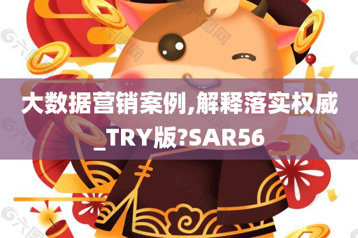 大数据营销案例,解释落实权威_TRY版?SAR56