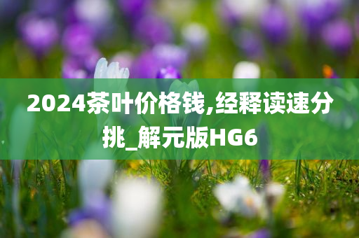 2024茶叶价格钱,经释读速分挑_解元版HG6