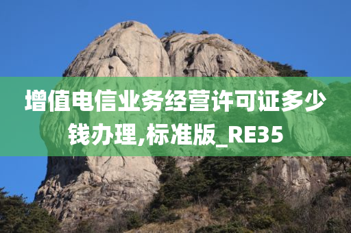 增值电信业务经营许可证多少钱办理,标准版_RE35