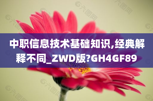 中职信息技术基础知识,经典解释不同_ZWD版?GH4GF89