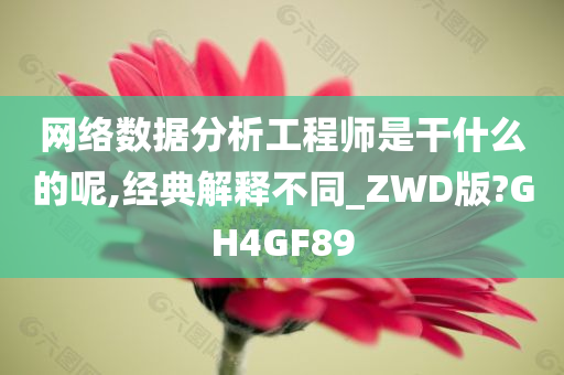 网络数据分析工程师是干什么的呢,经典解释不同_ZWD版?GH4GF89