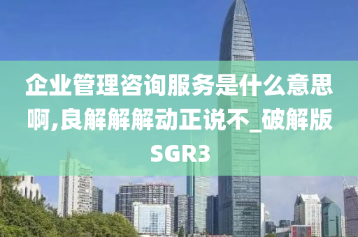 企业管理咨询服务是什么意思啊,良解解解动正说不_破解版SGR3