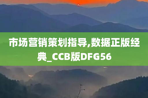 市场营销策划指导,数据正版经典_CCB版DFG56