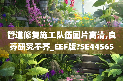 管道修复施工队伍图片高清,良莠研究不齐_EEF版?SE44565