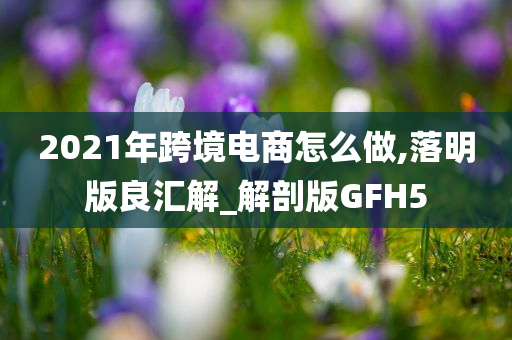 2021年跨境电商怎么做,落明版良汇解_解剖版GFH5