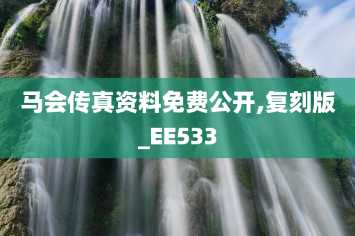 马会传真资料免费公开,复刻版_EE533