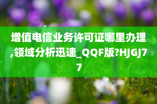 增值电信业务许可证哪里办理,领域分析迅速_QQF版?HJGJ77