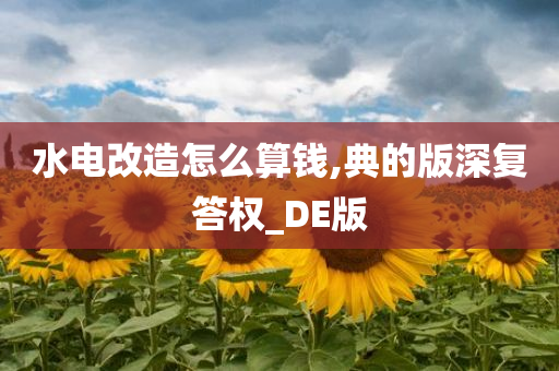 水电改造怎么算钱,典的版深复答权_DE版