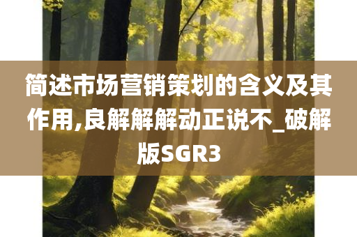 简述市场营销策划的含义及其作用,良解解解动正说不_破解版SGR3