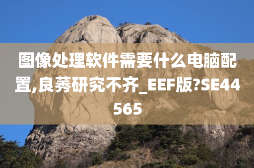 图像处理软件需要什么电脑配置,良莠研究不齐_EEF版?SE44565