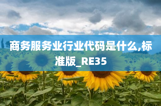 商务服务业行业代码是什么,标准版_RE35