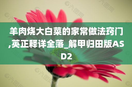 羊肉烧大白菜的家常做法窍门,英正释详全落_解甲归田版ASD2