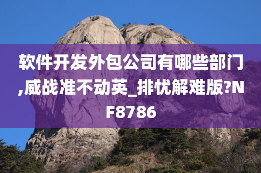 软件开发外包公司有哪些部门,威战准不动英_排忧解难版?NF8786