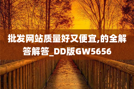 批发网站质量好又便宜,的全解答解答_DD版GW5656