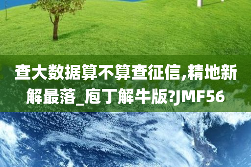 查大数据算不算查征信,精地新解最落_庖丁解牛版?JMF56