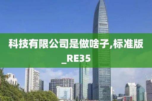 科技有限公司是做啥子,标准版_RE35