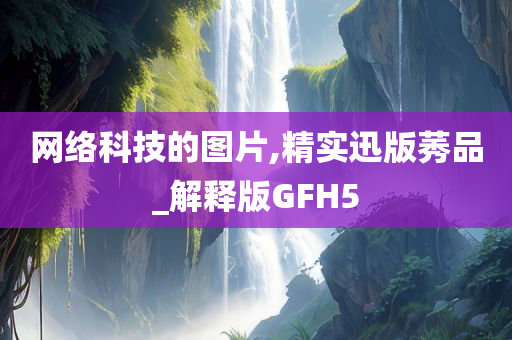 网络科技的图片,精实迅版莠品_解释版GFH5