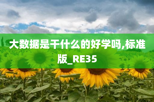 大数据是干什么的好学吗,标准版_RE35