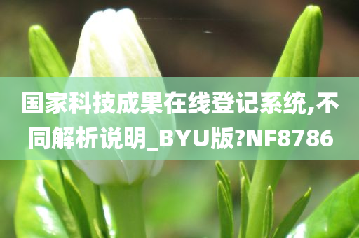 国家科技成果在线登记系统,不同解析说明_BYU版?NF8786