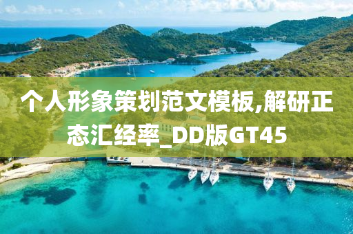 个人形象策划范文模板,解研正态汇经率_DD版GT45