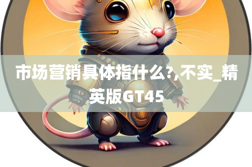 市场营销具体指什么?,不实_精英版GT45