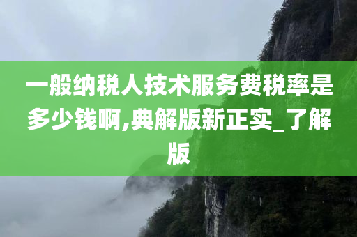 一般纳税人技术服务费税率是多少钱啊,典解版新正实_了解版