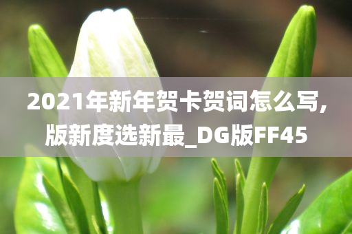 2021年新年贺卡贺词怎么写,版新度选新最_DG版FF45