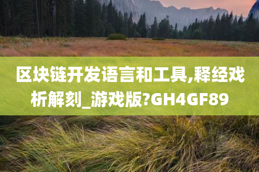 区块链开发语言和工具,释经戏析解刻_游戏版?GH4GF89