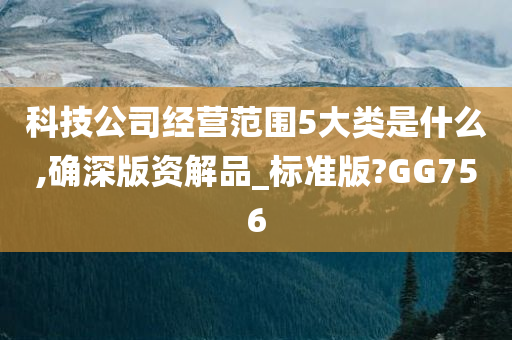 科技公司经营范围5大类是什么,确深版资解品_标准版?GG756