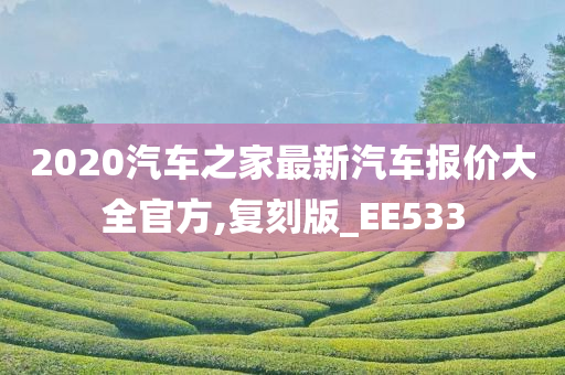 2020汽车之家最新汽车报价大全官方,复刻版_EE533