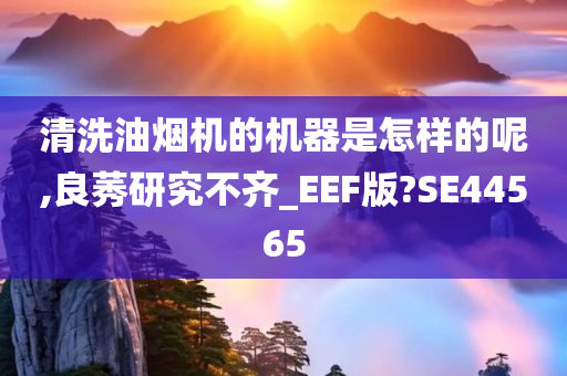 清洗油烟机的机器是怎样的呢,良莠研究不齐_EEF版?SE44565