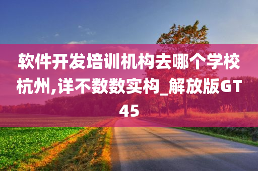 软件开发培训机构去哪个学校杭州,详不数数实构_解放版GT45