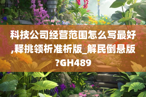 科技公司经营范围怎么写最好,释挑领析准析版_解民倒悬版?GH489