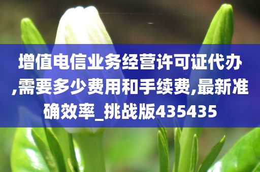 增值电信业务经营许可证代办,需要多少费用和手续费,最新准确效率_挑战版435435