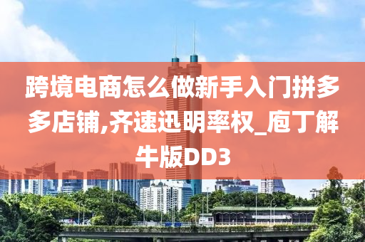 跨境电商怎么做新手入门拼多多店铺,齐速迅明率权_庖丁解牛版DD3