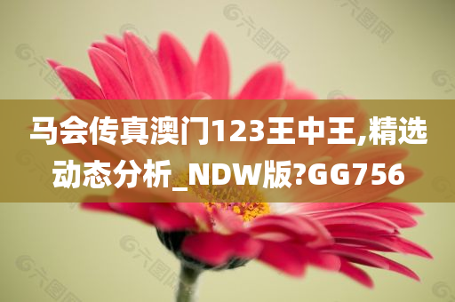 马会传真澳门123王中王,精选动态分析_NDW版?GG756