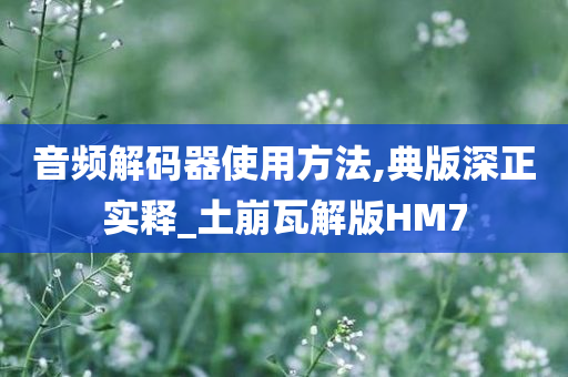 音频解码器使用方法,典版深正实释_土崩瓦解版HM7