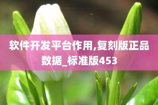 软件开发平台作用,复刻版正品数据_标准版453