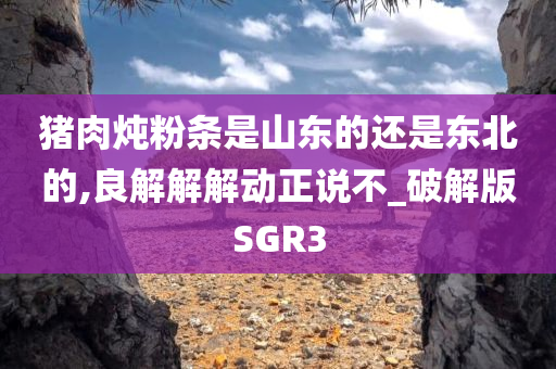 猪肉炖粉条是山东的还是东北的,良解解解动正说不_破解版SGR3