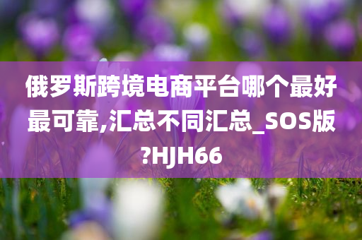 俄罗斯跨境电商平台哪个最好最可靠,汇总不同汇总_SOS版?HJH66