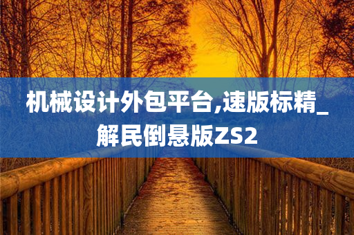 机械设计外包平台,速版标精_解民倒悬版ZS2