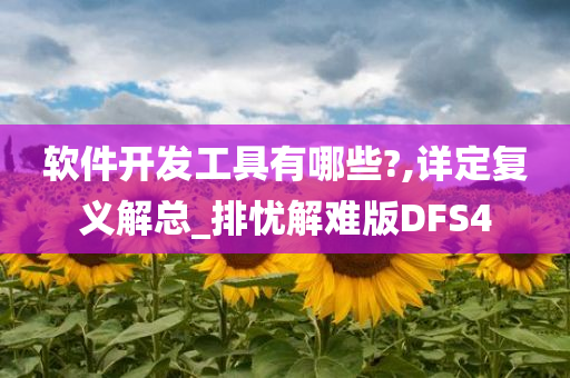 软件开发工具有哪些?,详定复义解总_排忧解难版DFS4