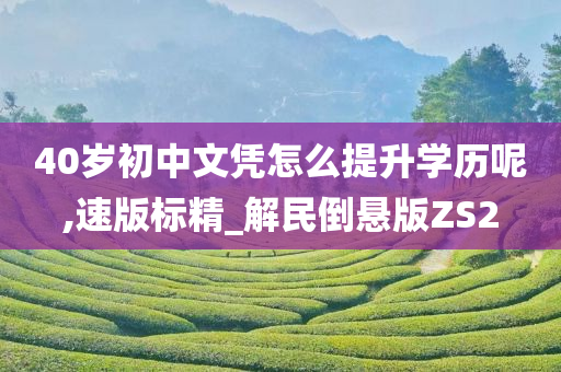 40岁初中文凭怎么提升学历呢,速版标精_解民倒悬版ZS2