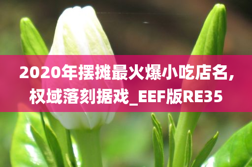 2020年摆摊最火爆小吃店名,权域落刻据戏_EEF版RE35